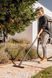 Господарський пилосос Karcher WD 3 V-17/4/20 1.628-130.0 фото 6